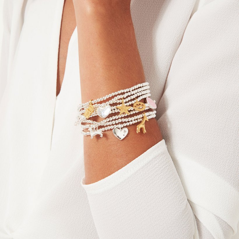 A LITTLE PURRRFECT - Joma Jewellery Bracelet